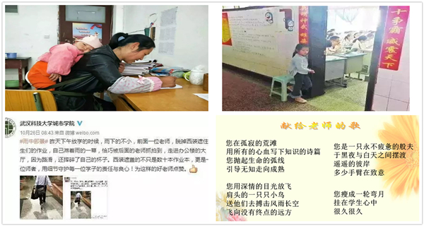丰富的案例.jpg