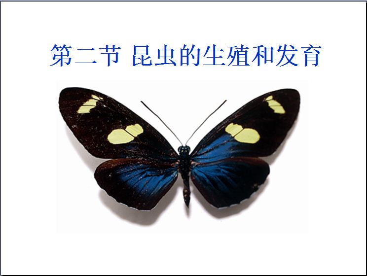 捕获.JPG