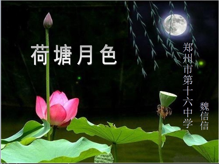 无标题.jpg